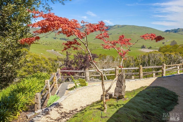 view of yard featuring a mountain view and a rural view