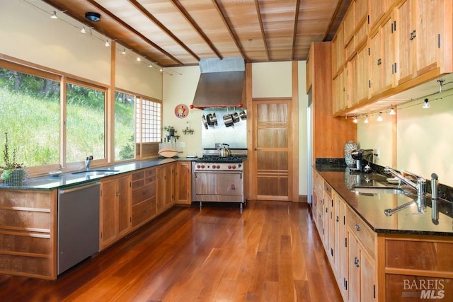 kitchen with dark hardwood / wood-style floors, sink, stainless steel appliances, wall chimney range hood, and wooden ceiling