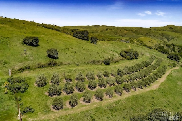 bird's eye view with a rural view