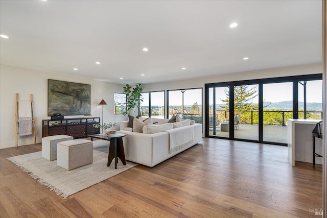 living room featuring a wealth of natural light, a mountain view, and hardwood / wood-style floors