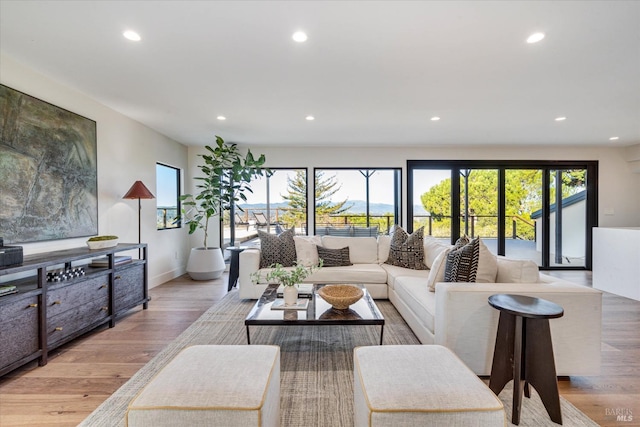 living room featuring light hardwood / wood-style flooring