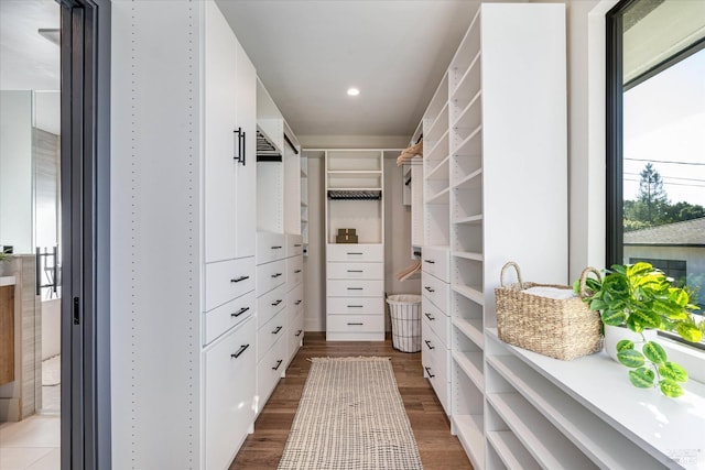 spacious closet with wood-type flooring