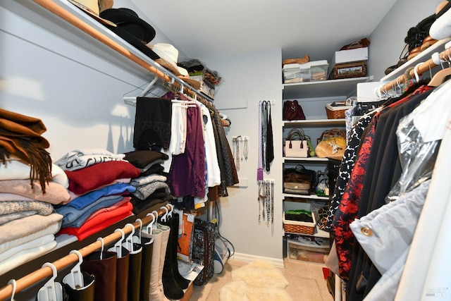 view of spacious closet