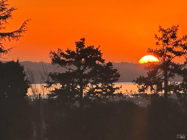 nature at dusk featuring a water view