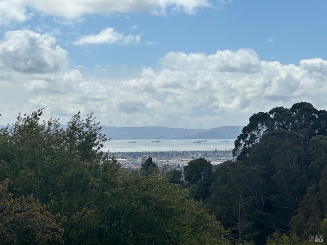 view of mountain feature featuring a water view