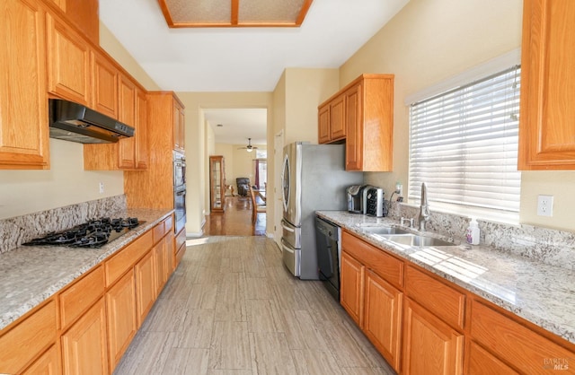 kitchen featuring sink, ceiling fan, appliances with stainless steel finishes, ventilation hood, and light stone countertops