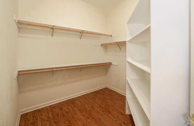 spacious closet with dark hardwood / wood-style floors