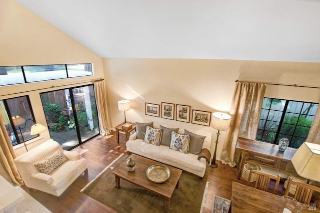 living room featuring wood-type flooring and high vaulted ceiling