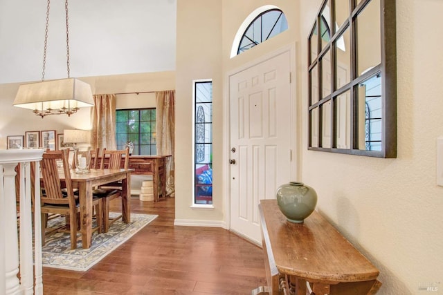 entryway featuring dark wood-type flooring and a high ceiling