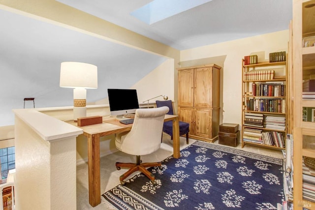 carpeted office with a skylight