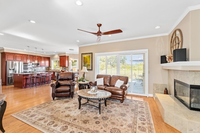 living room featuring crown molding and light hardwood / wood-style floors