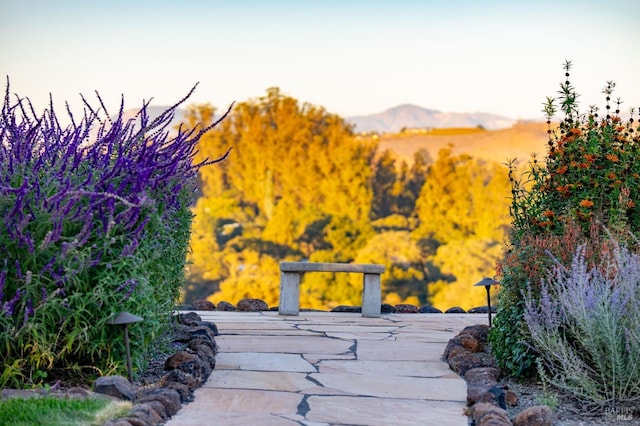 details featuring a mountain view