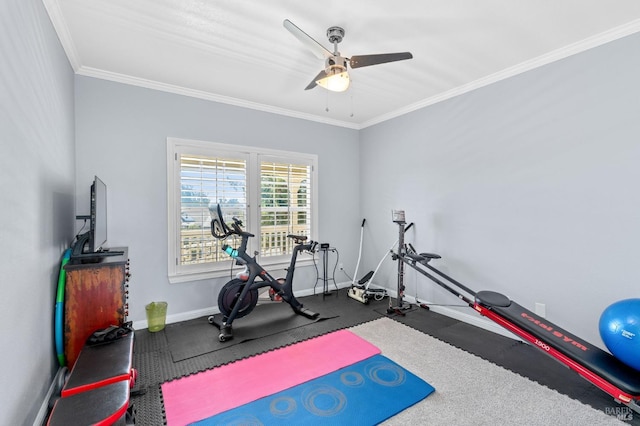 workout area with crown molding and ceiling fan