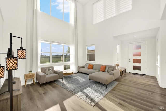 living room featuring hardwood / wood-style floors and a high ceiling