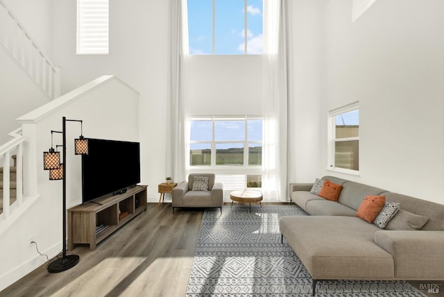 living room with hardwood / wood-style flooring, a towering ceiling, and a wealth of natural light