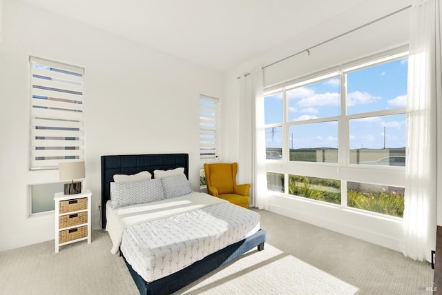 bedroom featuring multiple windows and light carpet