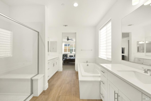 bathroom featuring vanity, a wealth of natural light, wood-type flooring, and walk in shower