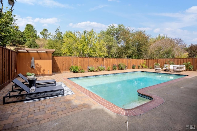 view of pool with a patio area