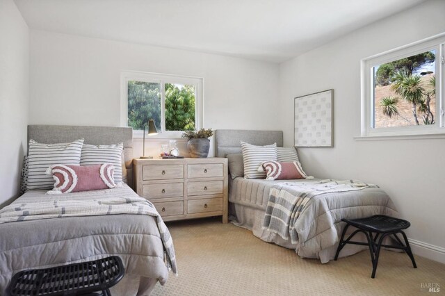 bedroom featuring light carpet