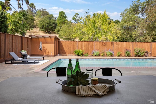 view of swimming pool featuring a patio area