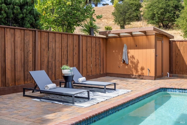 view of pool with a patio area