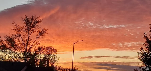 view of nature at dusk