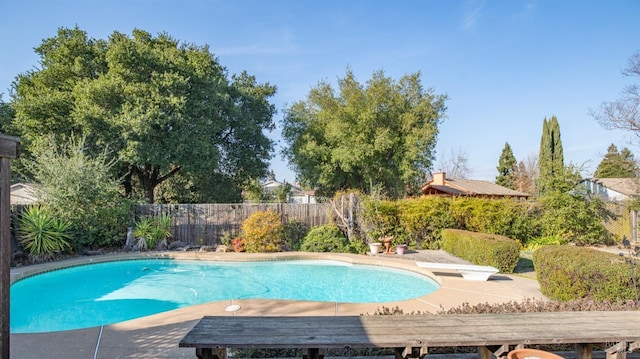 view of pool with a patio area and a diving board