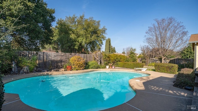 view of pool with a diving board and a patio