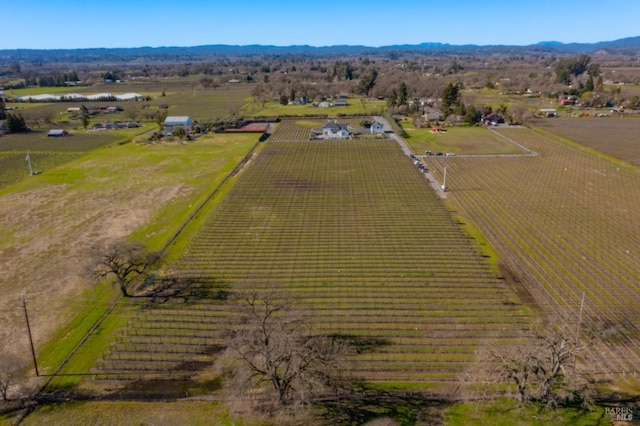 bird's eye view featuring a rural view