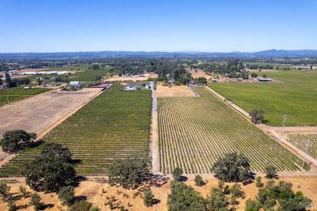 aerial view with a rural view