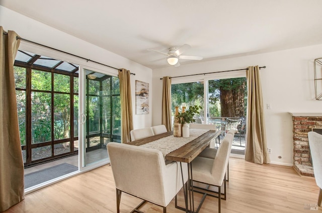 dining room featuring ceiling fan, a fireplace, and light hardwood / wood-style floors