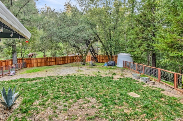 view of yard featuring a storage shed