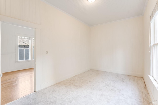 empty room featuring light colored carpet and ornamental molding