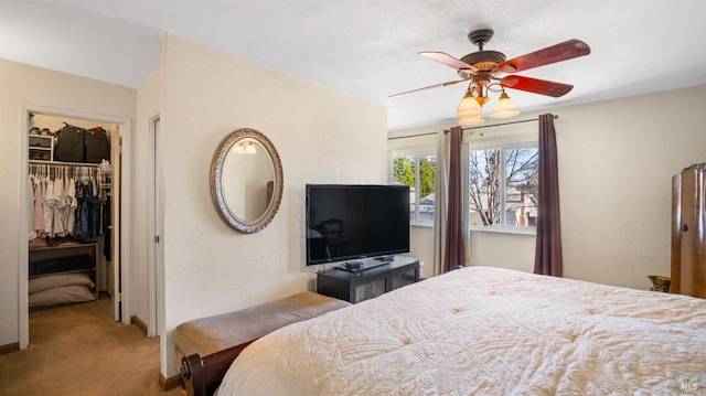 carpeted bedroom featuring ceiling fan, a walk in closet, and a closet