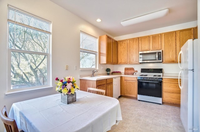 kitchen with sink, white appliances, and a wealth of natural light