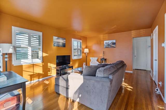 living room featuring hardwood / wood-style flooring