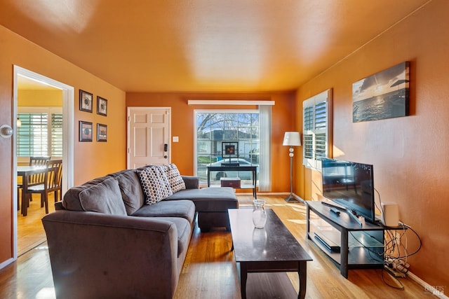 living room with a healthy amount of sunlight and light wood-type flooring