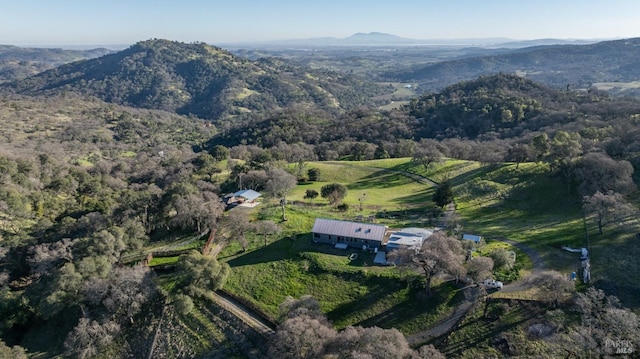 birds eye view of property featuring a mountain view