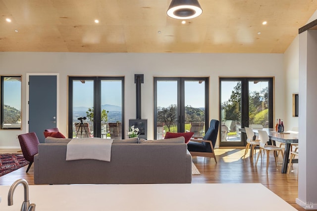 living room featuring lofted ceiling, a mountain view, wood-type flooring, and french doors