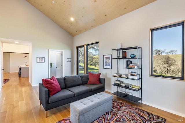 living room featuring light hardwood / wood-style floors and high vaulted ceiling