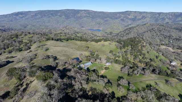 birds eye view of property featuring a mountain view