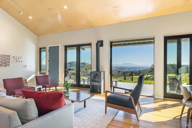 living room with vaulted ceiling, a mountain view, a wood stove, and light hardwood / wood-style floors