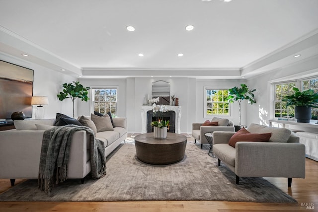 living room with wood-type flooring, ornamental molding, and a tray ceiling