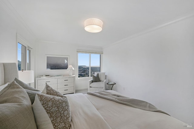 bedroom with ornamental molding