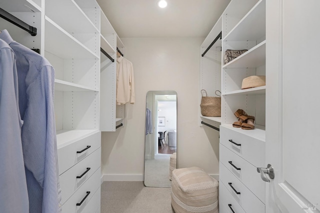 spacious closet with light carpet