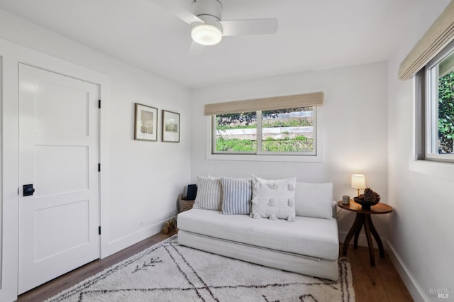 living room featuring plenty of natural light, dark hardwood / wood-style floors, and ceiling fan