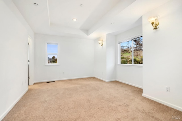 empty room featuring light carpet and a tray ceiling