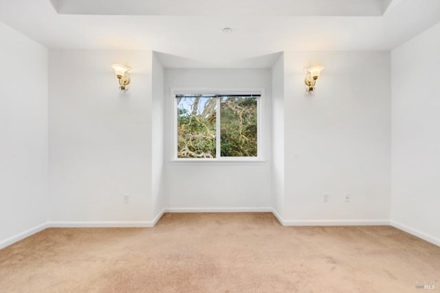 unfurnished room featuring a raised ceiling and light colored carpet