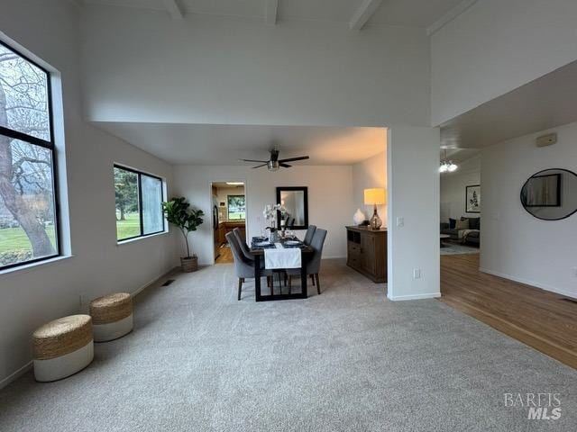 dining area featuring ceiling fan, a towering ceiling, light colored carpet, and beam ceiling