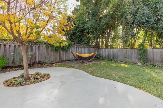 view of yard with a patio area